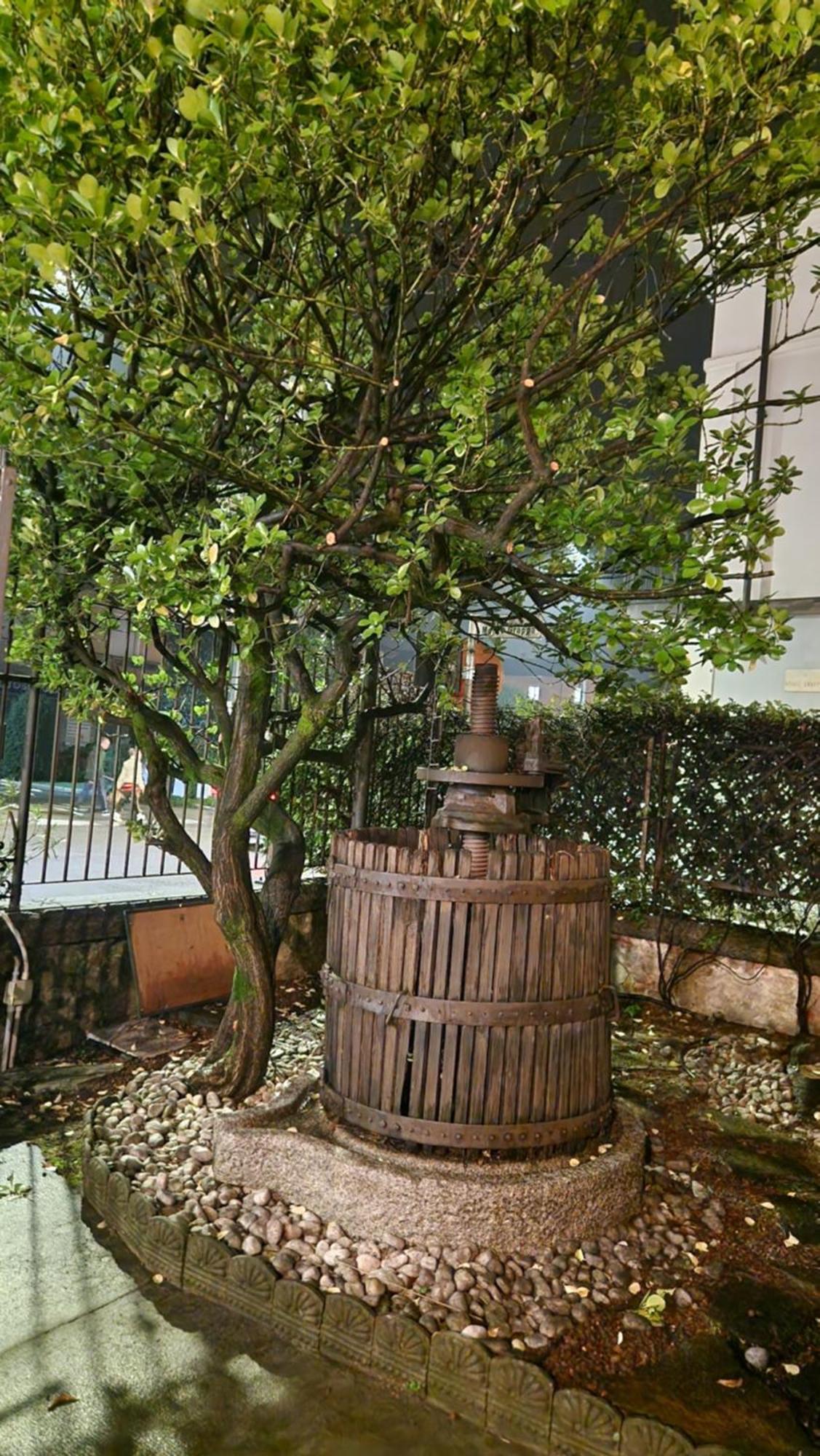 Villa Cavalleri Gattinara Kültér fotó